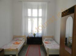 Gold_Lion_11